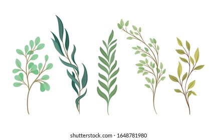 Tree Twigs and Branches with Green Leaves Vector Set