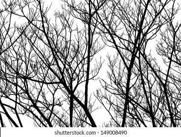 Tree Twigs Silhouette  Vector