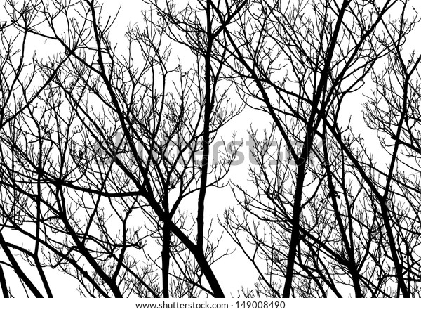 Tree Twigs Silhouette nature themed wallpaper Vector.