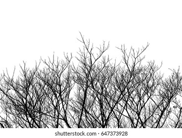 Tree Twigs Vector illustration background