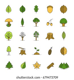 Tree types color icons set. Forest, park. Forestry. Isolated vector illustrations