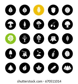 Tree types glyph icons set. Forest, forestry. Vector white silhouettes illustrations in black circles