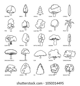 Tree types icons set. Outline illustration of 25 tree types vector icons for web