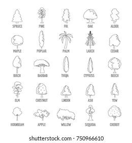 Tree types icons set. Outline illustration of 25 tree types vector icons for web
