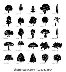 Tree types icons set. Simple illustration of 25 tree types vector icons for web