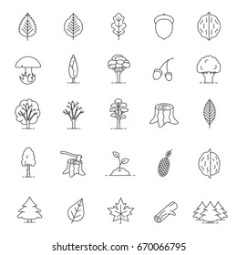 Tree types linear icons set. Forest, park. Thin line contour symbols. Forestry. Isolated vector outline illustrations. Editable stroke