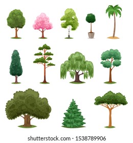 Tree types vector green forest pine treetops collection of fir palm birch cedar greenery garden with acacia sakura illustration isolated on white background.