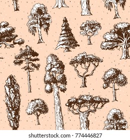 Tree types vector green forest pine treetops collection of birch, cedar and acacia or realistic greenery garden with palm and sakura illustration seamless pattern background.