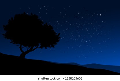 tree under the starry sky nature vector landscape