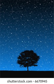 Tree Under Stars