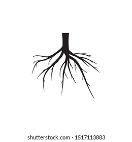 Tree Underground Roots. Illustration Isolated On White Background