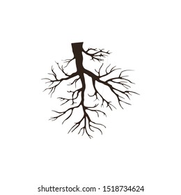 Tree Underground Roots. Illustration Isolated On White Background