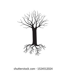 Tree Underground Roots Vector. Plant Underground Roots. Tree Root Black. illustration Of Plant Silhouette Root