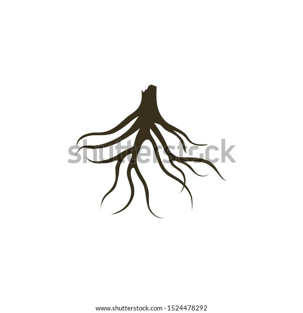 tree roots underground design