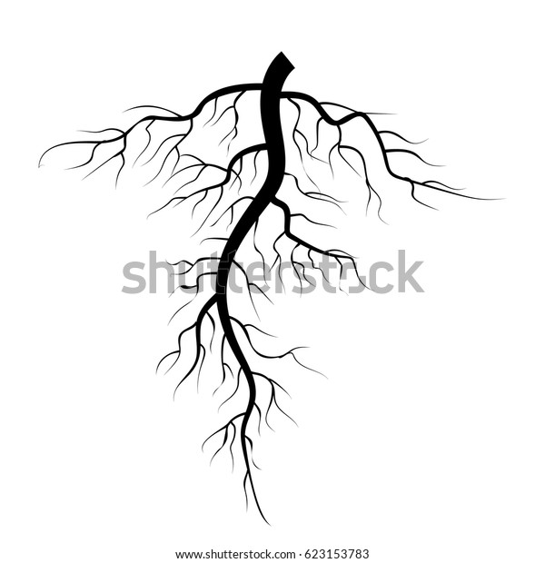 Tree Underground Roots Vector Plant Underground Stock Vector (Royalty ...