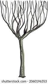 A tree of unusual shape on a white background.
