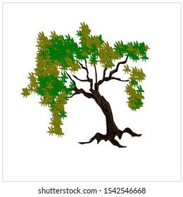 tree vecter nature branch forest plant green wood leaf isolated garden stem trunk design botany