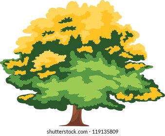 Tree vector