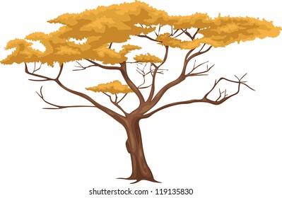 Tree vector
