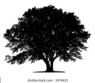 Tree (vector)