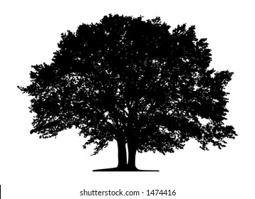 Tree (vector)