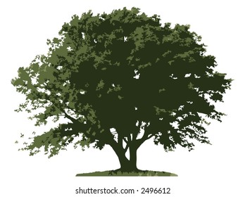 Tree (vector)