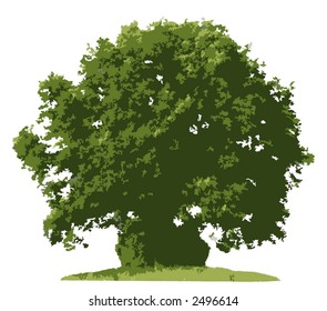 Tree (vector)