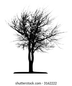 Tree (vector)
