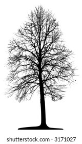 Tree (vector)