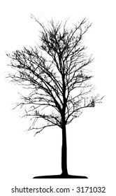 Tree (vector)