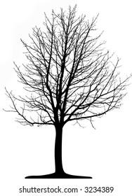 Tree (vector)