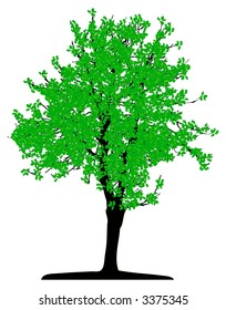 Tree (vector)