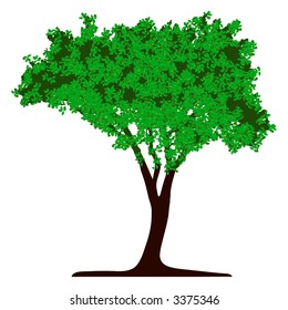Tree (vector)
