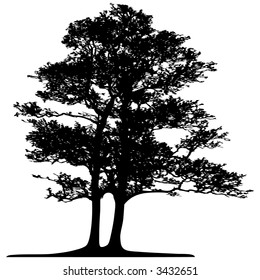 Tree (vector)