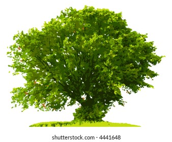  Tree (vector)