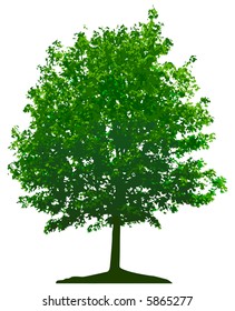 Tree (vector)