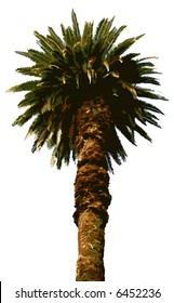 Tree (vector)