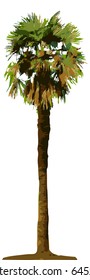 Tree (vector)