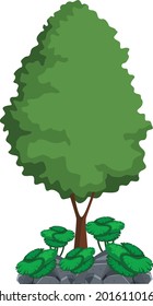 Tree vector art and illustration