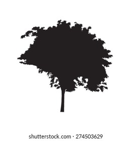 Tree vector background.