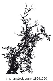 tree vector design