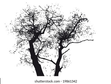 tree vector design