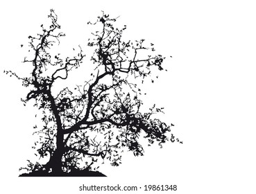 tree vector design