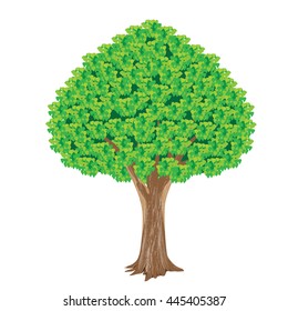 tree vector design