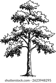 Tree vector design for illustration