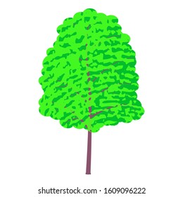 Tree. Vector drawing in a flat style. The trunk is brown, the foliage is green and light green. Fingerprint shaped foliage texture. Isolated white background.
