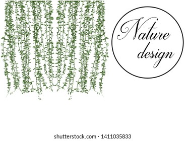 Tree vector for gardening, home decoration