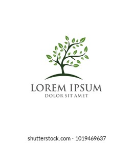 tree vector graphic abstract symbol template download