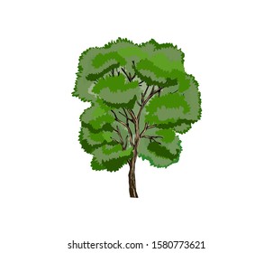 tree vector with green leaves