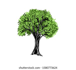 tree vector with green leaves